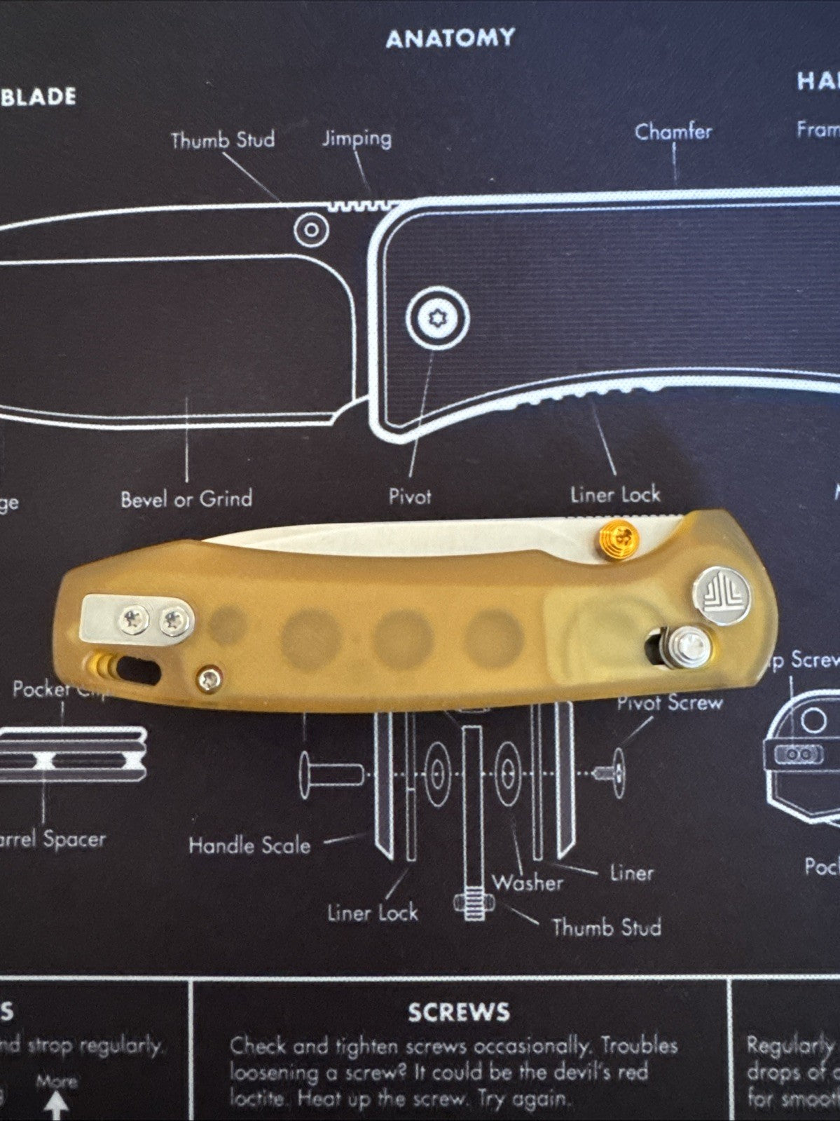 Dragonfly-Y Axis Lock EDC Folding Pocket Knife,2.99'' 14C28N Steel Blade,PEI Han
