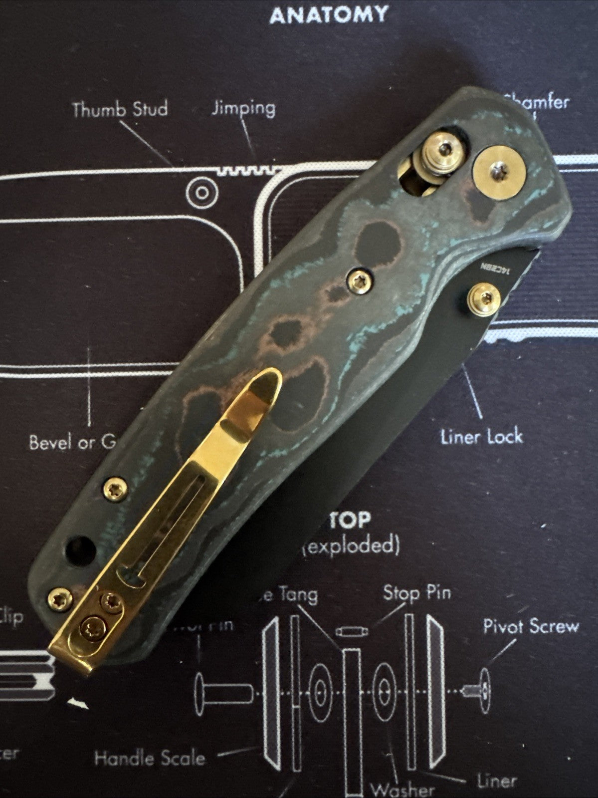 Cicada Wing Shipwreck EXCLUSIVE (serrated) blade Runner Outpost