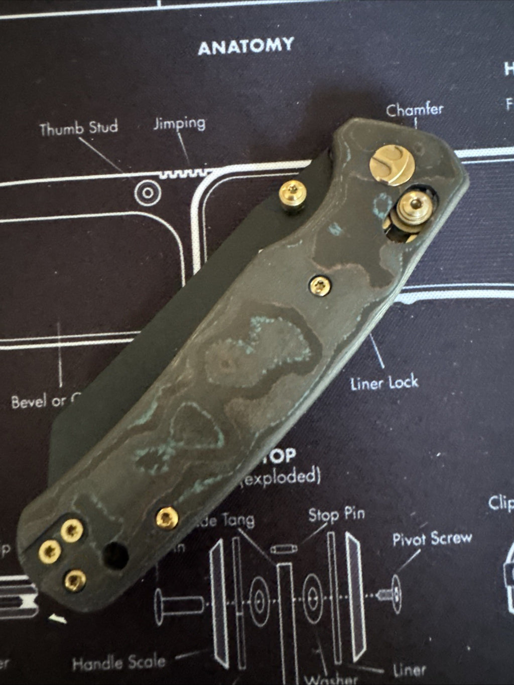 Cicada Wing Shipwreck EXCLUSIVE (serrated) blade Runner Outpost