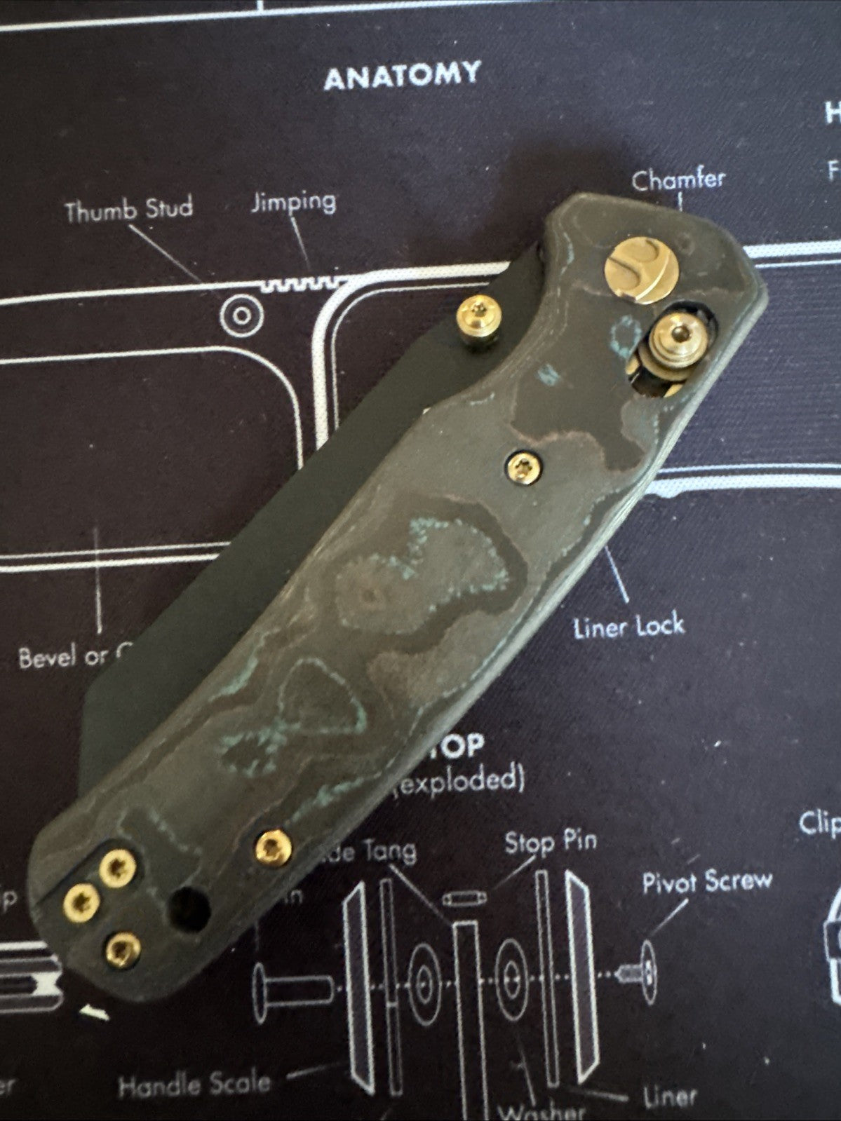 Cicada Wing Shipwreck EXCLUSIVE (serrated) blade Runner Outpost