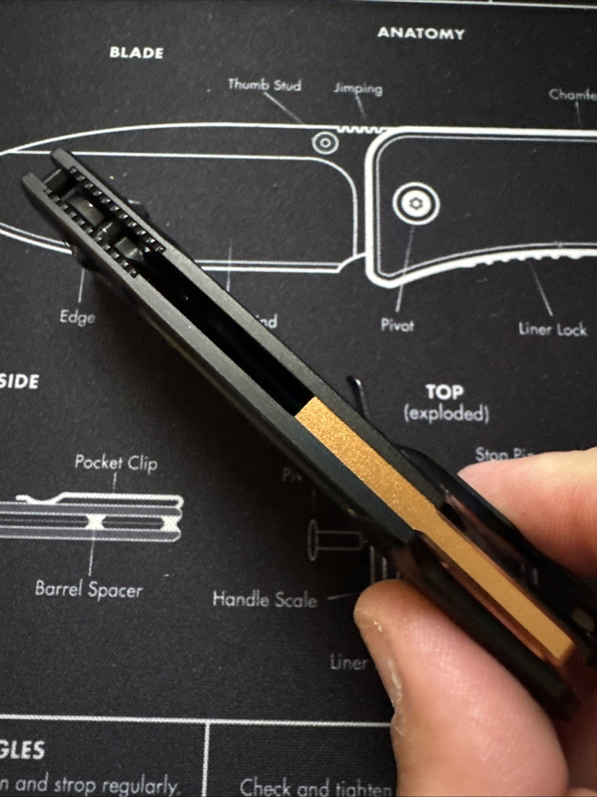 Bear OPS Nekama Black Modified Tanto Blade w Copper