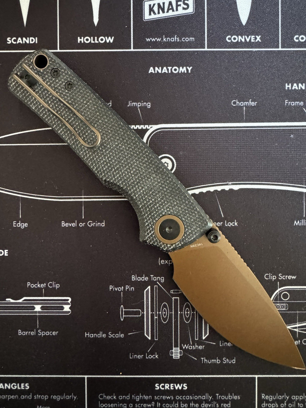 Porcupine - EDC Pocket Knife, 2.99’’ 14C28N Steel Copper Dune Blade, Top Liner