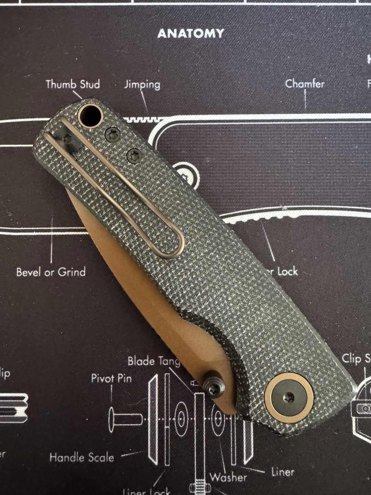 Porcupine - EDC Pocket Knife, 2.99’’ 14C28N Steel Copper Dune Blade, Top Liner