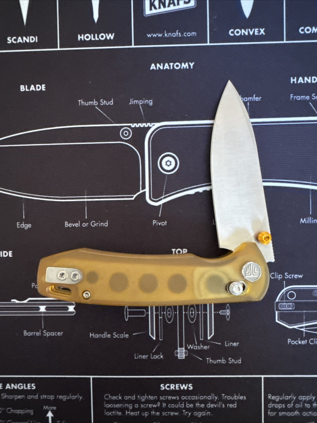 Dragonfly-Y Axis Lock EDC Folding Pocket Knife,2.99'' 14C28N Steel Blade,PEI Han