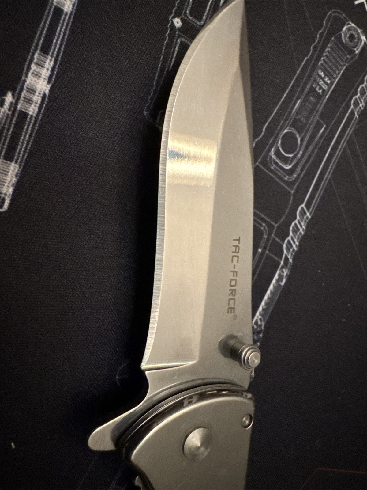 Tac-Force TF-861c Speedster Framelock Assisted 2.25" Folding Pocket Knife