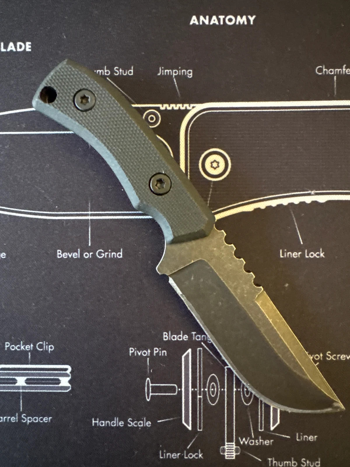 Share Fixed Blade Hunting Knife with Sheath